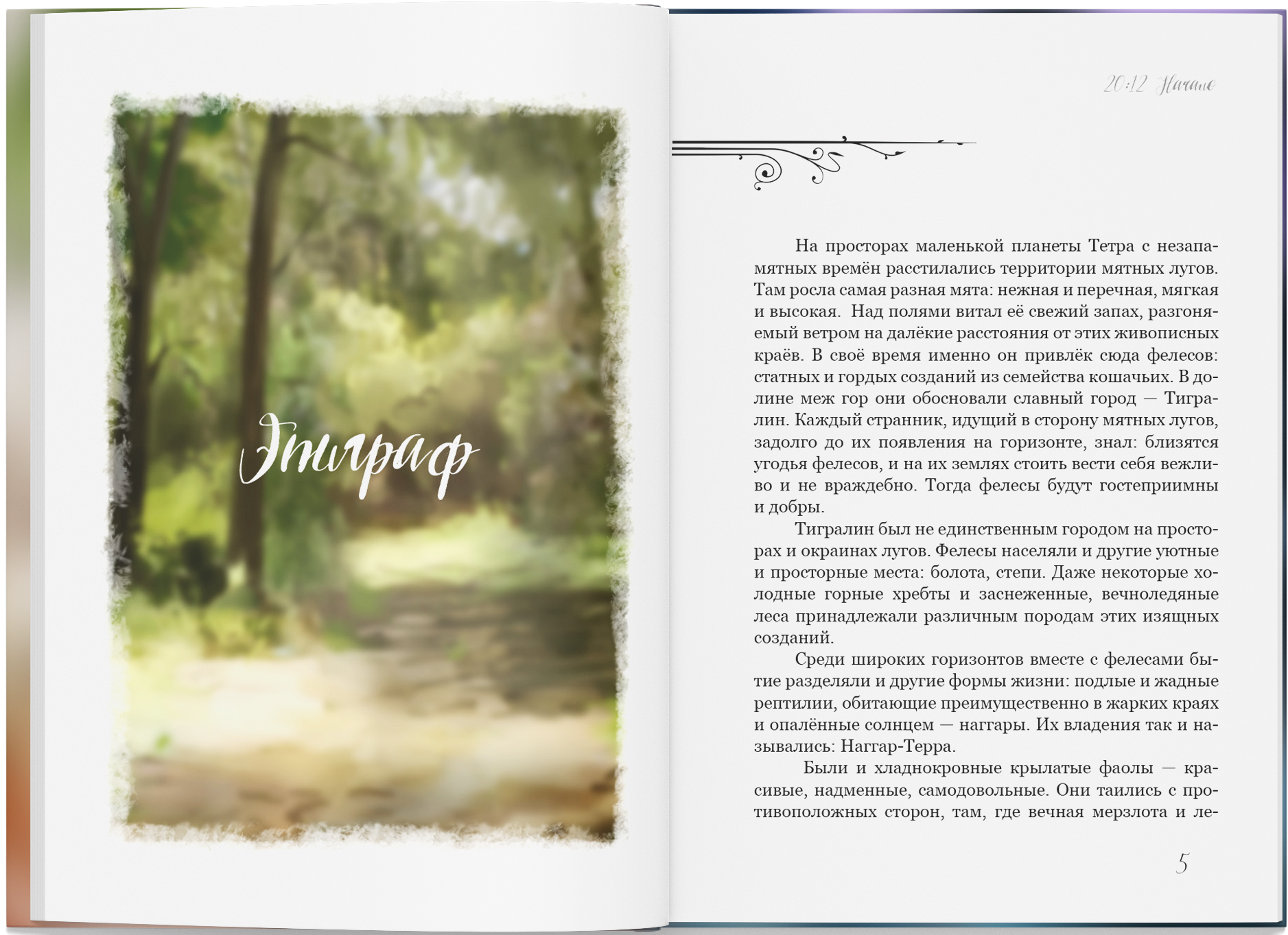 2012 - Начало: фэнтези про отношения подростков, книга про магический реализм, параллельный мир и девочку-кошку, young adult — изображение 4