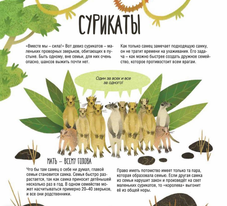 Папа, мама, я – звериная семья — изображение 4