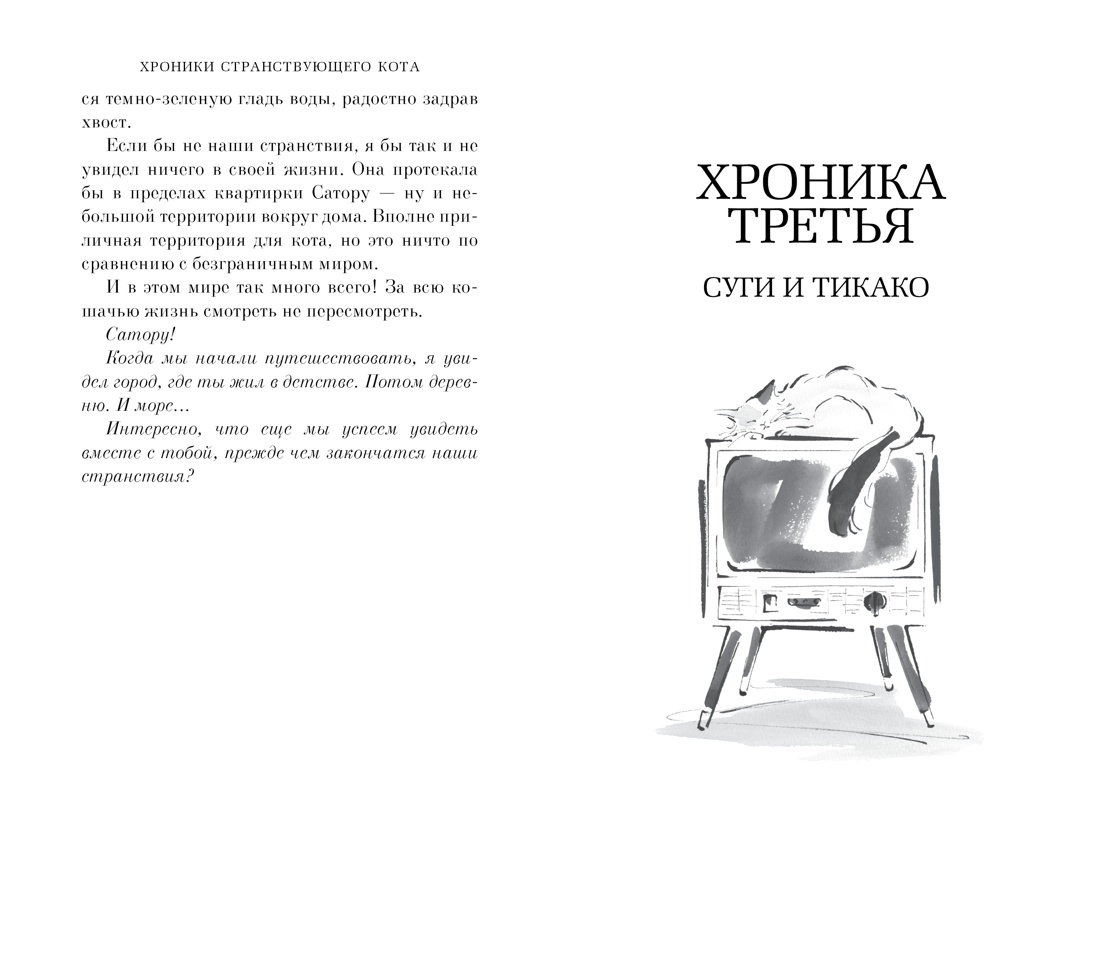Хроники странствующего кота — изображение 4