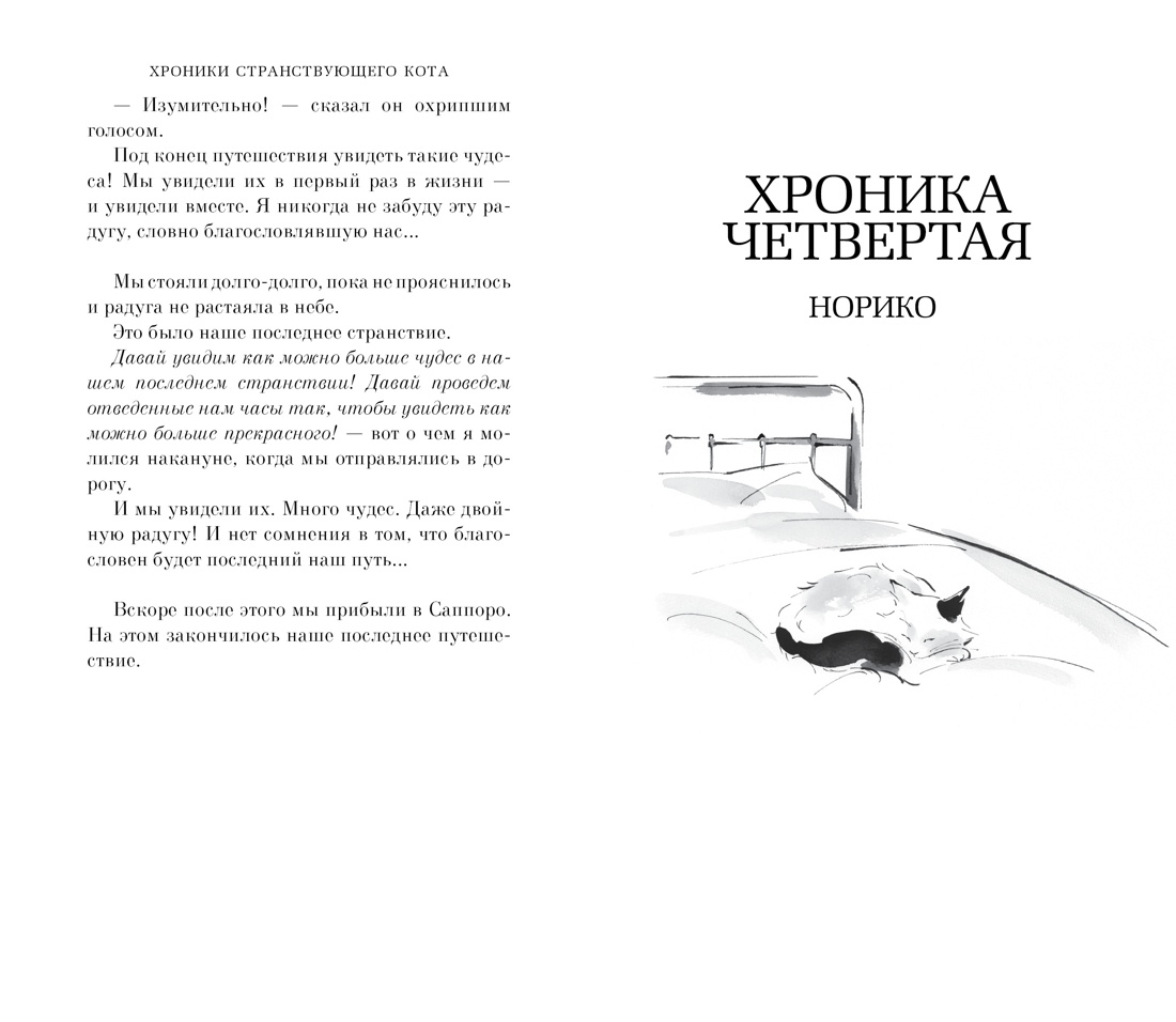 Хроники странствующего кота — изображение 6