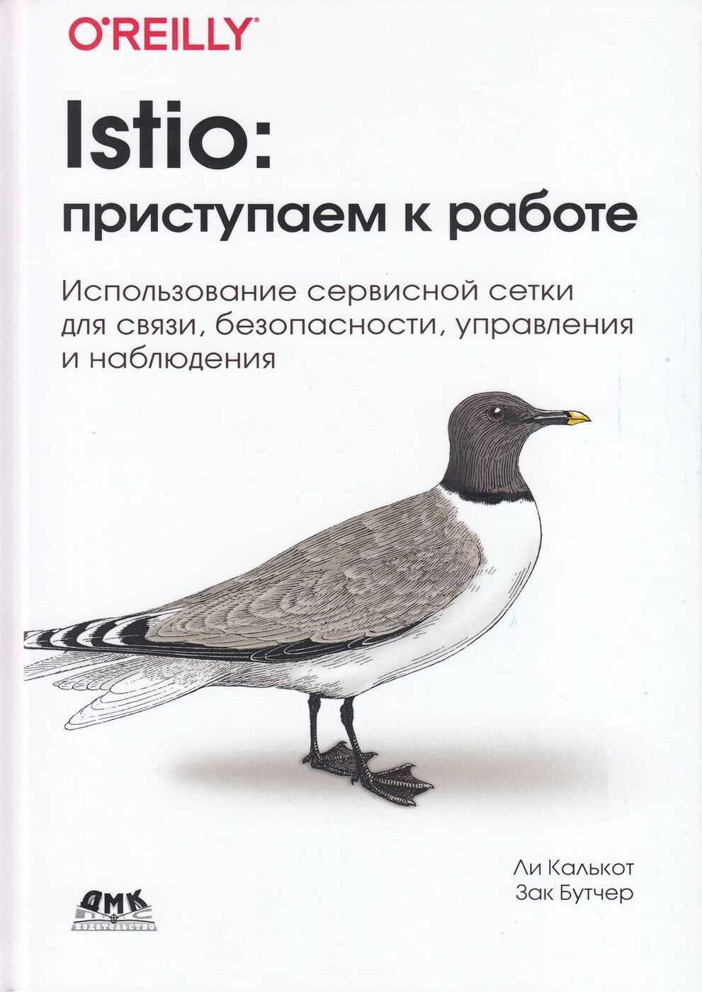 Istio: приступаем к работе