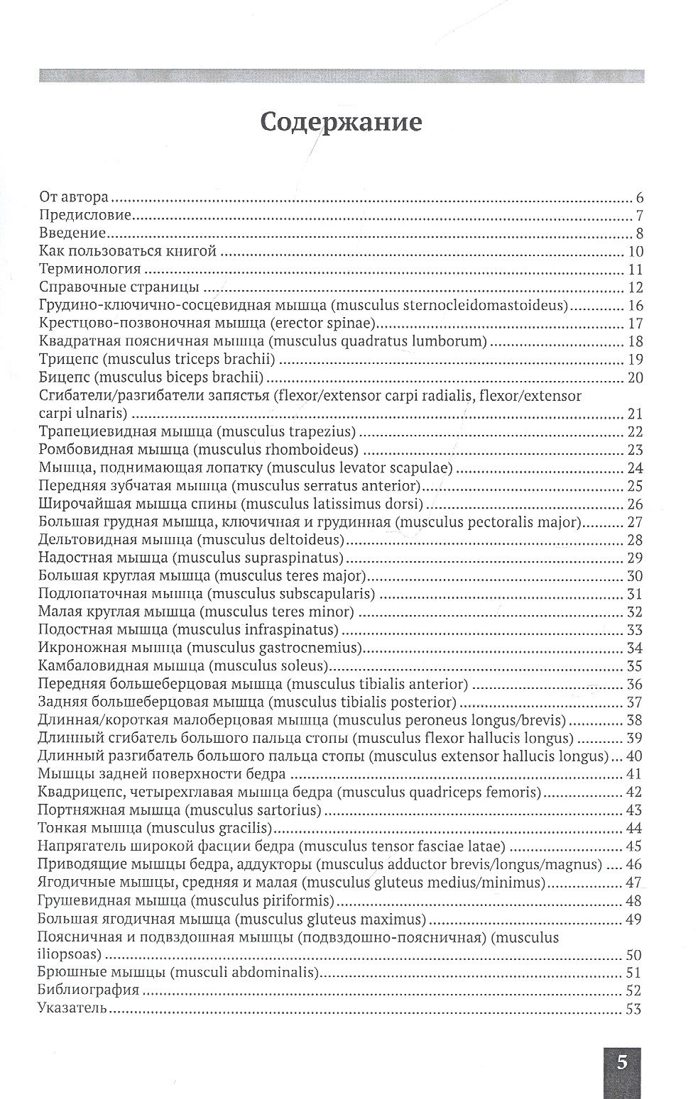 Мышцы человека. Краткий справочник — изображение 2