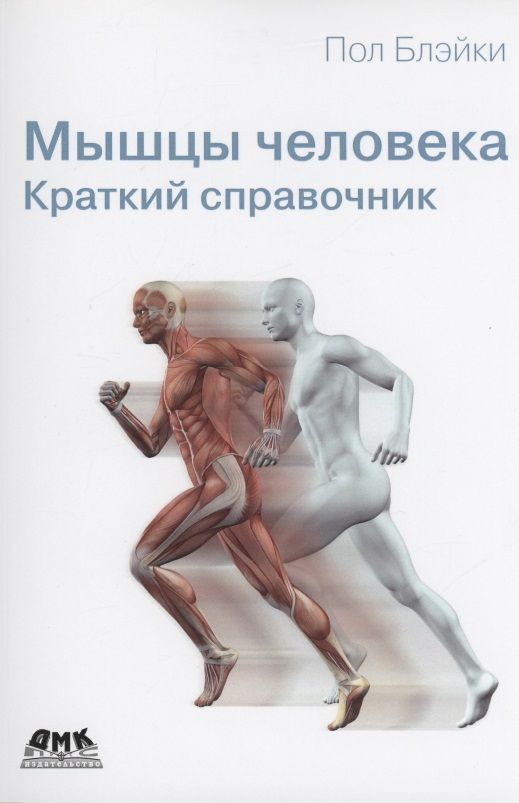 Мышцы человека. Краткий справочник