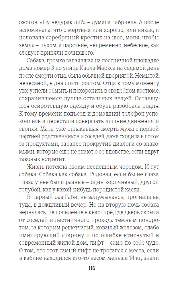 Короткое лето Шантеклеры. Рассказы — изображение 9