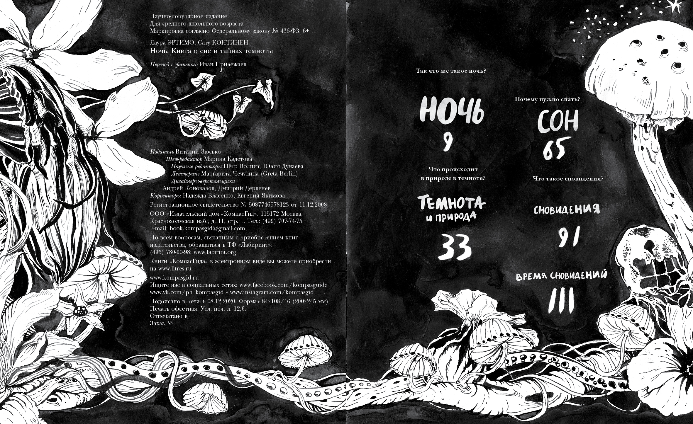 Ночь. Книга о сне и тайнах темноты — изображение 5