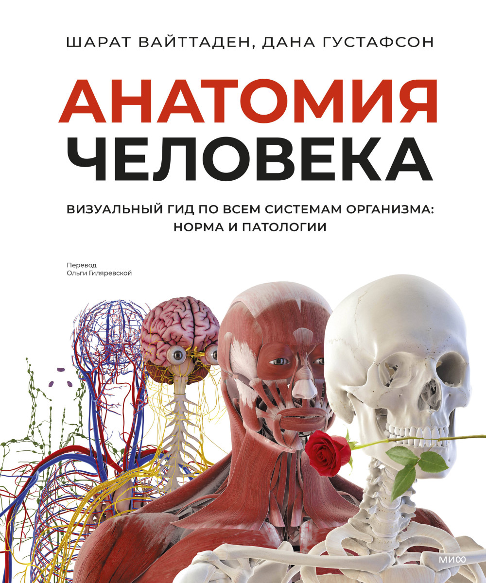 Анатомия человека. Визуальный гид по всем системам организма: норма и патологии — изображение 2