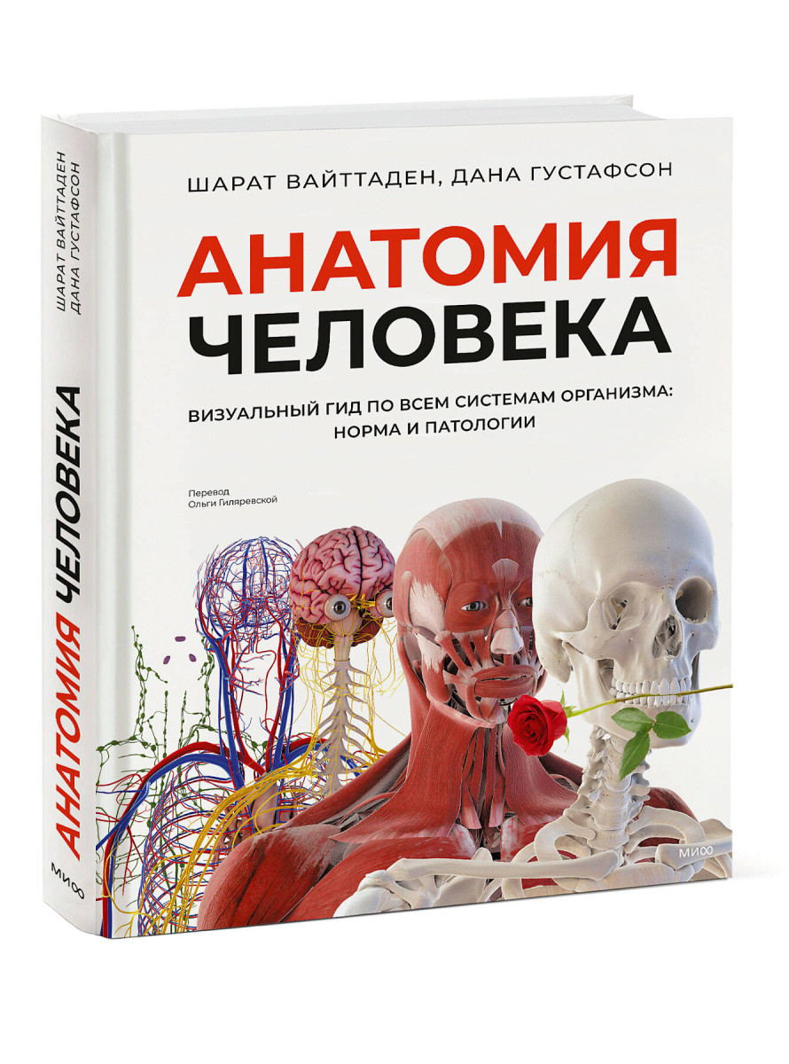 Анатомия человека. Визуальный гид по всем системам организма: норма и патологии — изображение 3