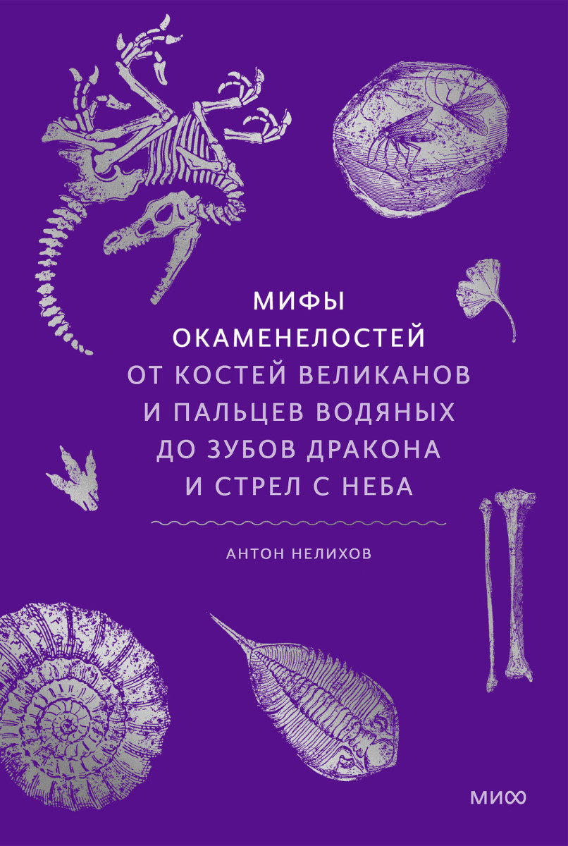 Мифы окаменелостей. От костей великанов и пальцев водяных до зубов дракона и стрел с неба — изображение 2