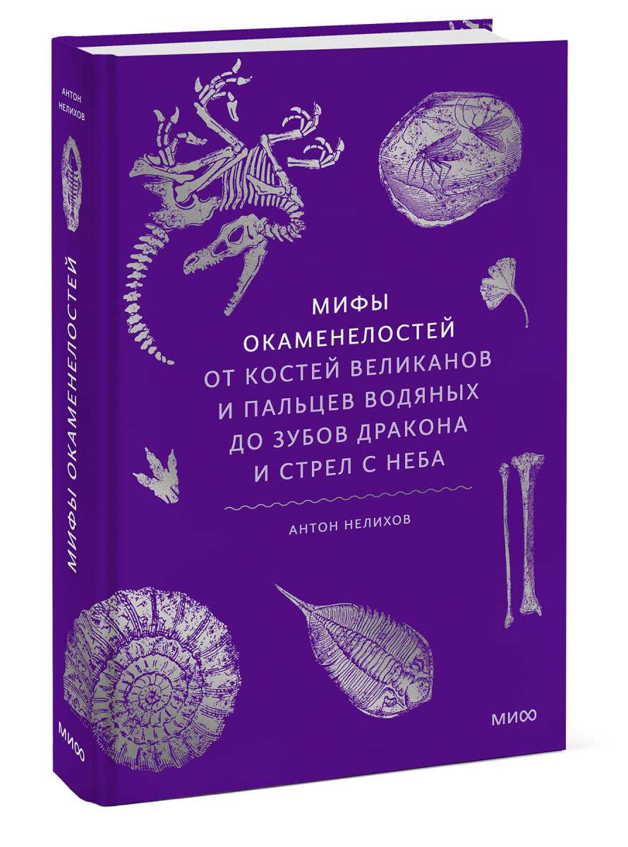 Мифы окаменелостей. От костей великанов и пальцев водяных до зубов дракона и стрел с неба — изображение 3