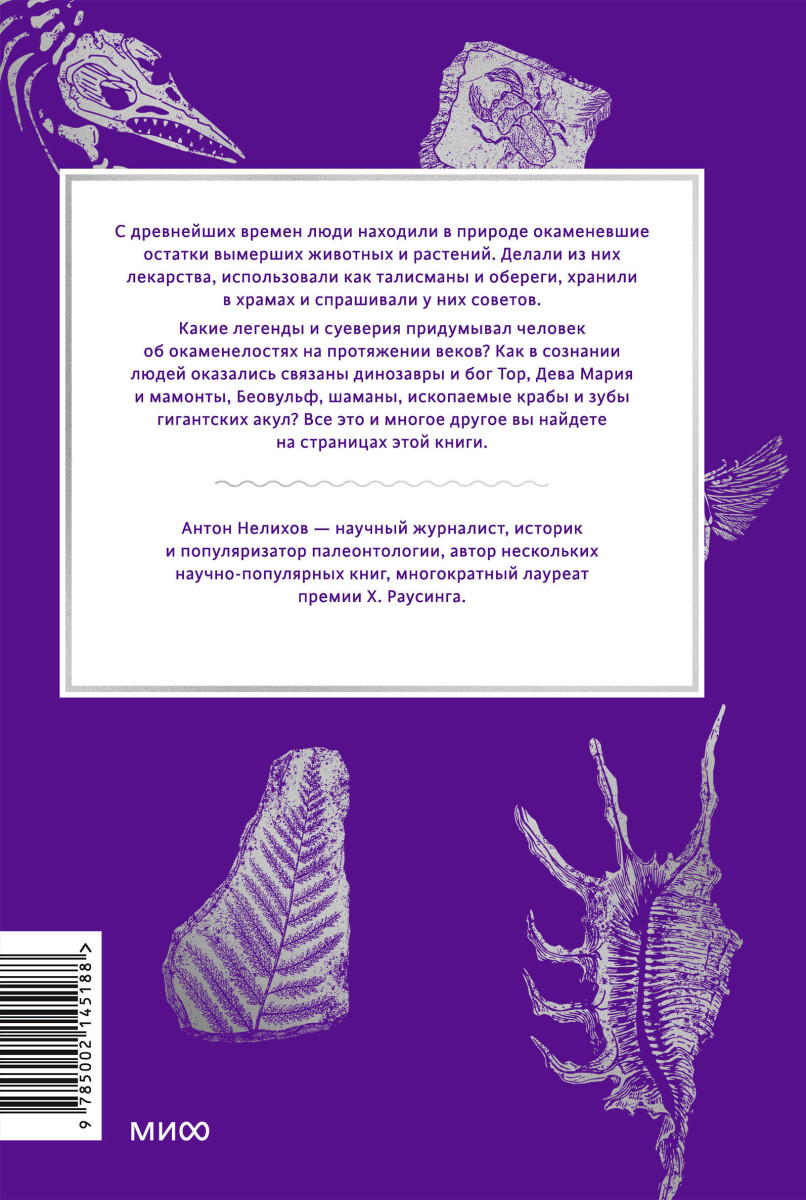 Мифы окаменелостей. От костей великанов и пальцев водяных до зубов дракона и стрел с неба — изображение 4