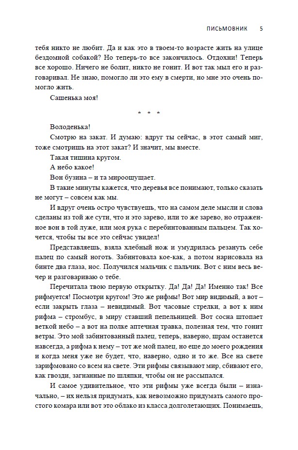 Письмовник (мягкая обложка) — изображение 6