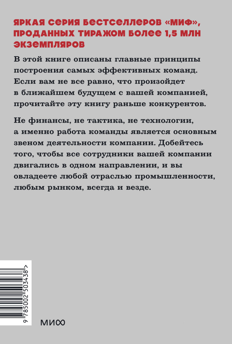 Пять пороков команды. NEON Pocketbooks — изображение 4