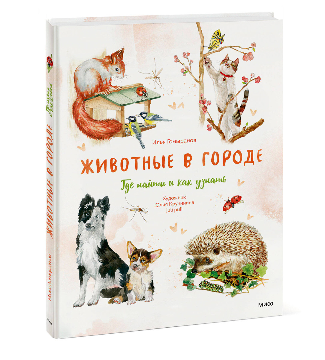 Животные в городе. Где найти и как узнать — изображение 3
