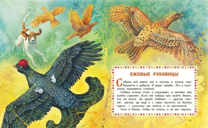 Лесные истории. Сказки и рассказы для детей (ил. М. Белоусовой) — изображение 3