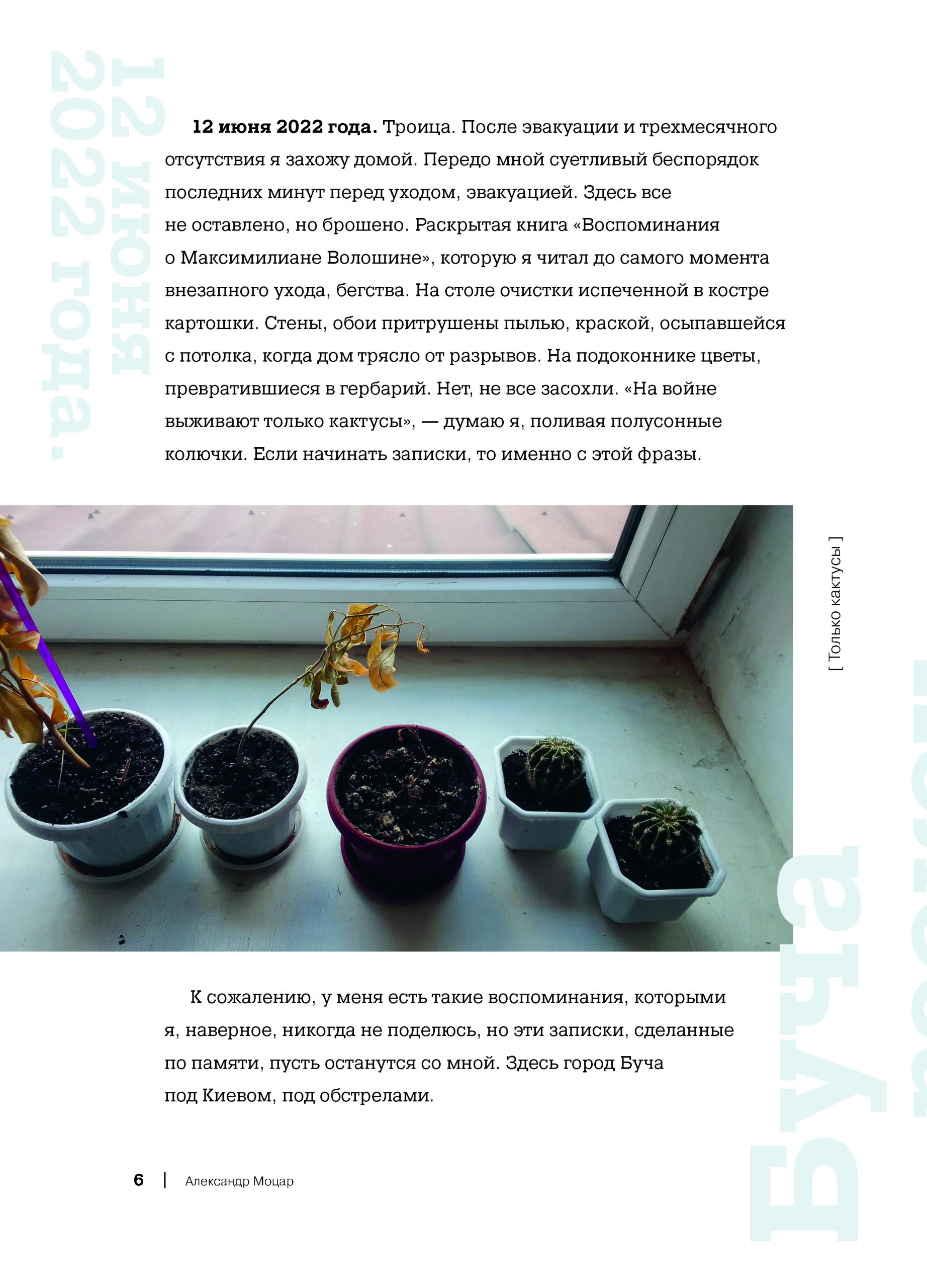 На войне выживают только кактусы. Заметки из Бучи — изображение 6