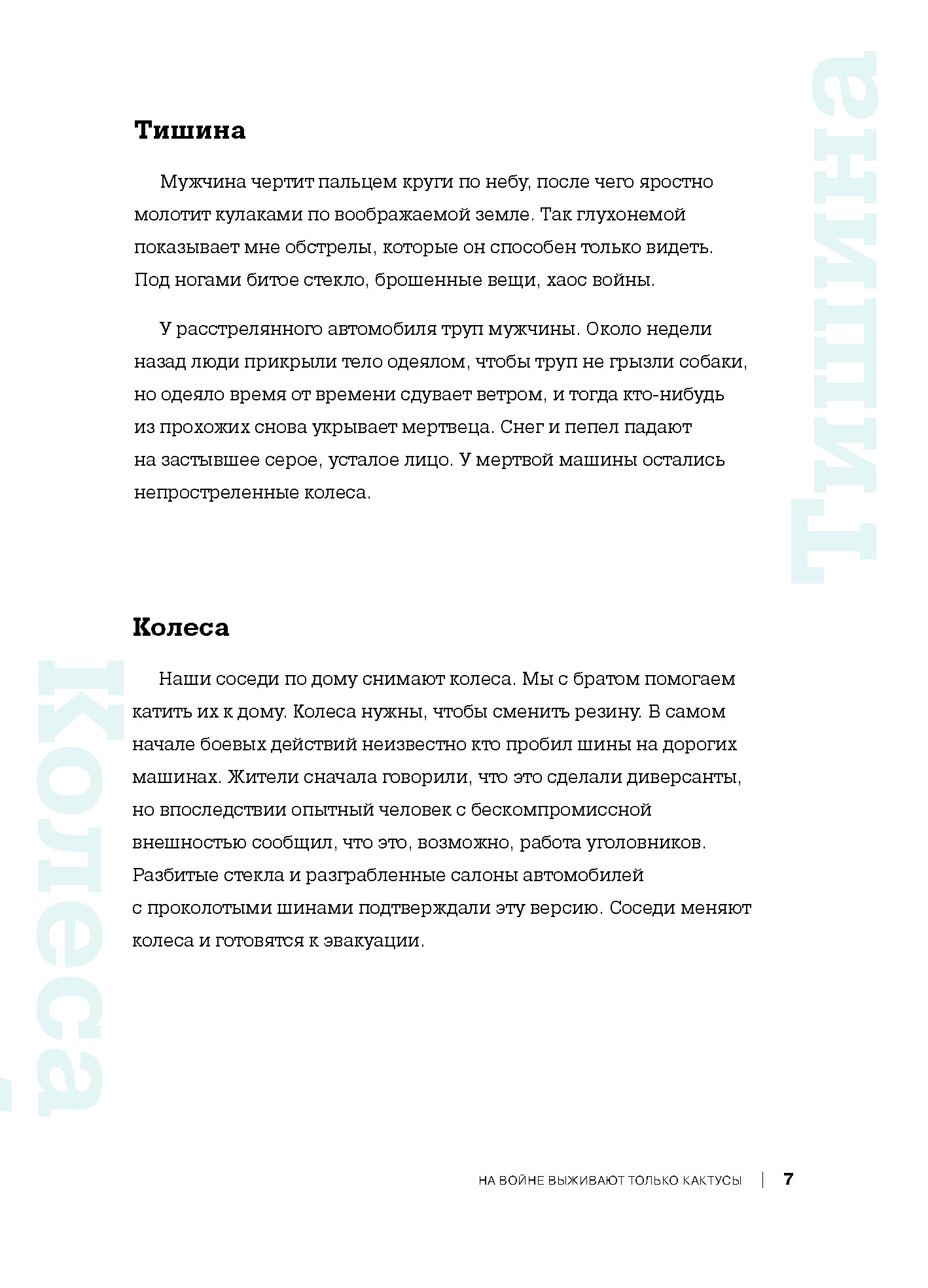 На войне выживают только кактусы. Заметки из Бучи — изображение 7