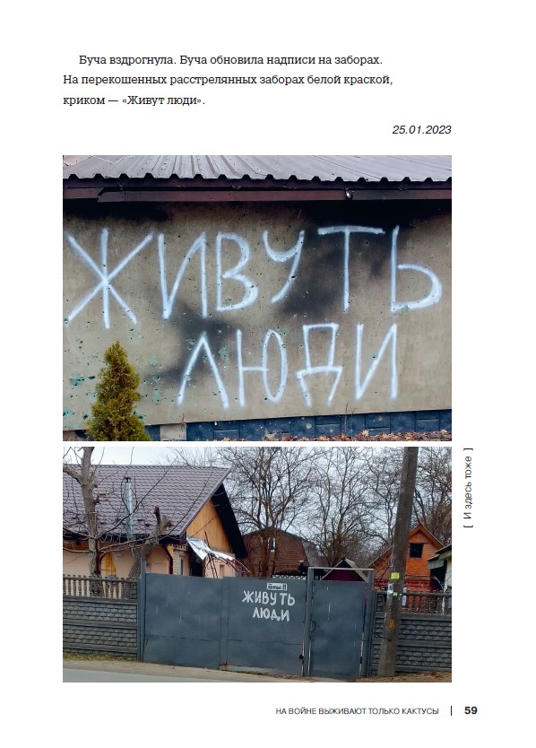 На войне выживают только кактусы. Заметки из Бучи — изображение 10